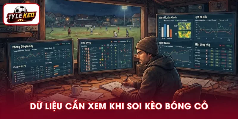 Những dữ liệu cần phân tích khi soi kèo bóng cỏ