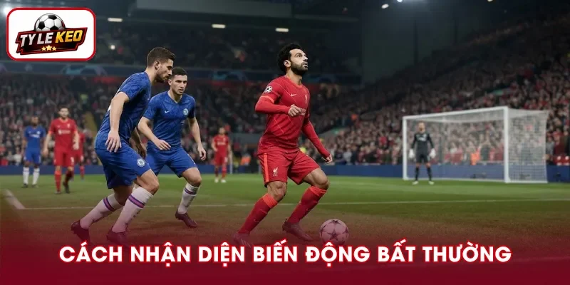 Cách đọc bảng kèo để phát hiện dấu hiệu bất thường