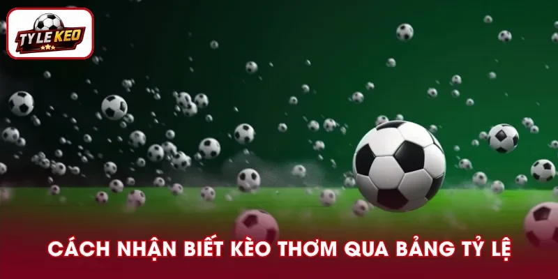 Cách phân tích kèo thơm từ tỷ lệ nhà cái