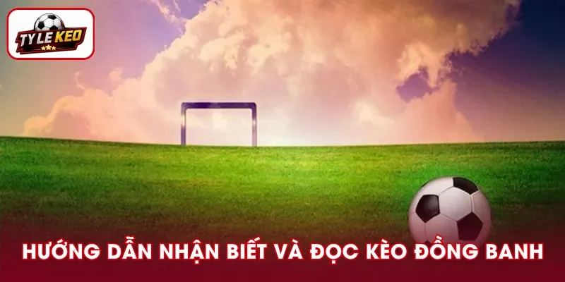 Hướng dẫn đọc kèo đồng banh